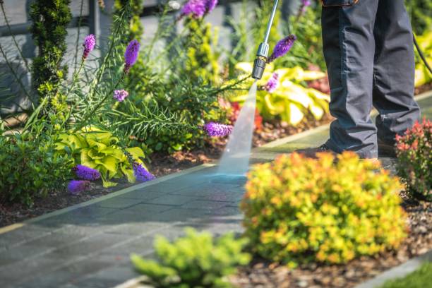 Best Pool Deck Cleaning in Altoona, IA